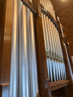 organ-pipes